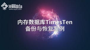 内存数据库TimesTen备份与恢复案例