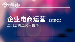 企业电商运营（B2C及C2C）之网店美工实用技巧
